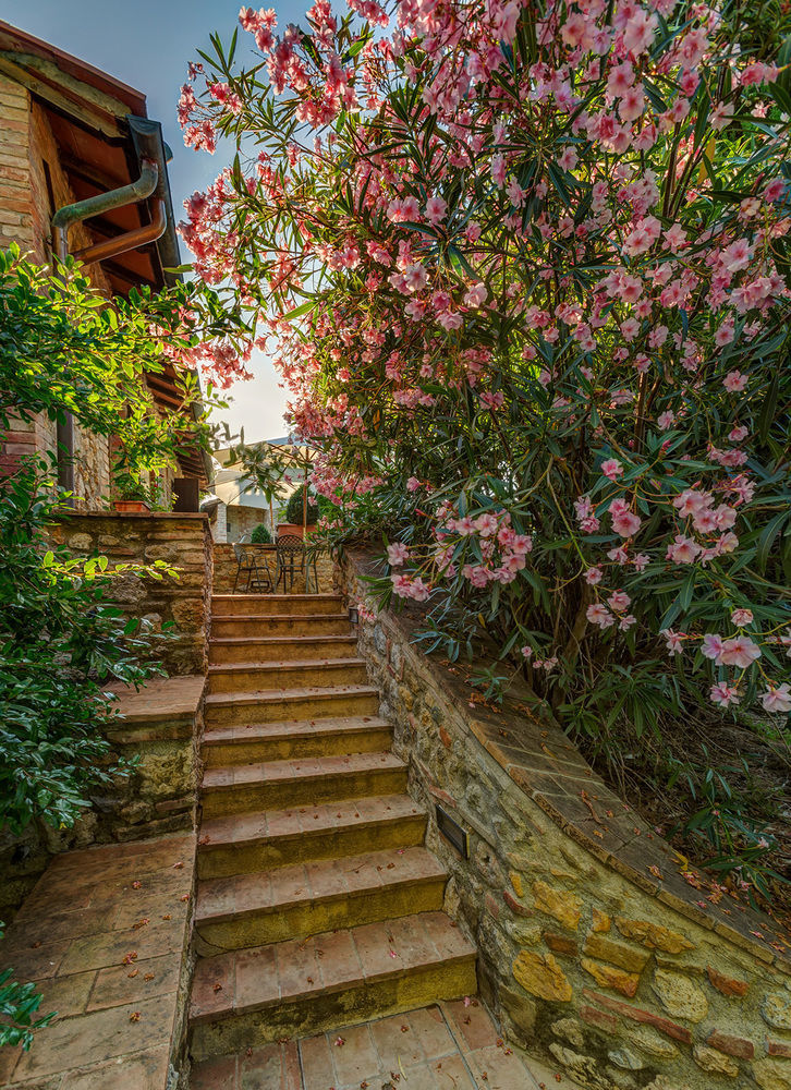 Agriturismo Casanova Di Pescille San Gimignano Exteriér fotografie